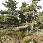 Le *