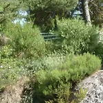 Le Antrenas